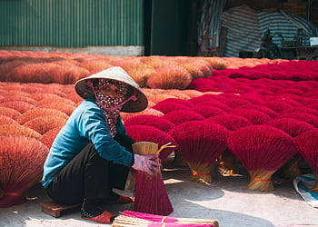 woman, job, traditional, vietnam, hanoi, asia, life, culture, work, red, coral