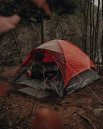 tent, camping, kamp, avontuur, vrije tijd, activiteit, recreatie, reizen, vakantie, buitenshuis, Bos