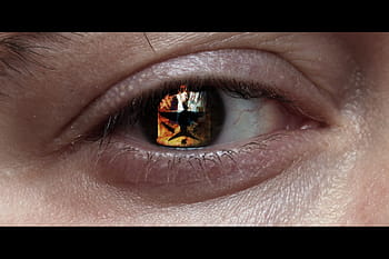 eye, reflection, lego, star wars, clone, project clone 365, Canon 100mm, the eye of sauron, explored, Day 363, 365 project