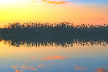 jezero, bažina, odrazy, rákosí, mokřadů, zrcadlení, voda, západ slunce, Příroda