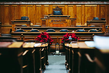 wooden interior, courthouse, courtroom, Bern, Switzerland, spacious, elegant, empty seats, wooden courtroom, poinsettia, flowers