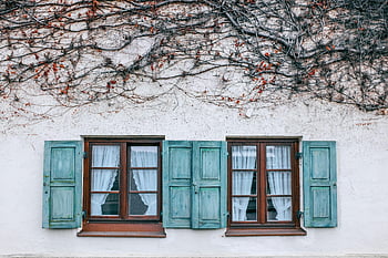 facade, building, windows, plant, vintage wooden shutters, dried vines, rustic wall, charming facade, exterior, architectural detail, window shutters