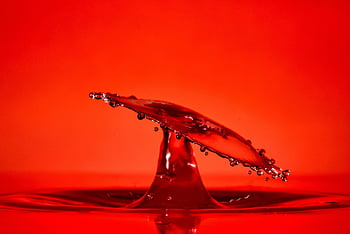 red, drop, splash, impact, ripples, water, ripple Effect, waves, nature, macro, drip