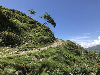 προς το monte tamaro, αλπική διαδρομή, Άλπεις, αλπικός, περιπέτεια, Περπατήστε, ουρανός, άριστος, εκδρομές, πεζοπορία, βουνά