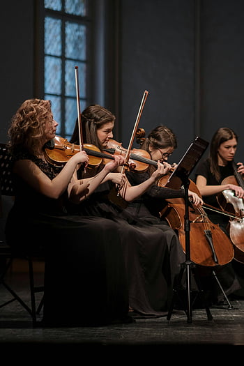 women playing violin, classical music performance, indoor concert, women musicians, violins and cellos, ensemble performance, string instruments, musical performance, classical ensemble, indoor music event, female musicians
