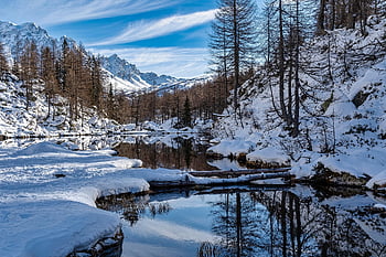 stezka, jezero, stromy, les, jehly, zimní, trekking, výlet, vysokohorský, dovolená, Příroda
