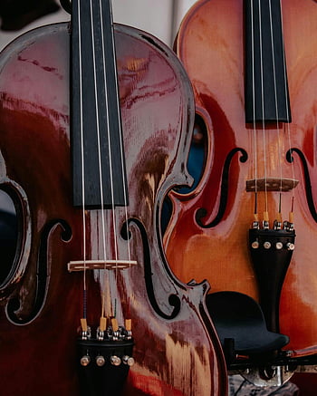 close-up violins, glossy wooden surfaces, violin strings, detailed close-up, musical instruments, string instruments, violin craftsmanship, violin details, violin texture, violin close-up, violin wood grain
