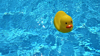 squeaky Duck, bath Duck, pool, water, rubber Duck, bathing Fun, background, waves, pool Water Surface, glitter, swimming Pool