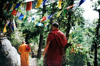 buddhističtí mniši, chůze, Vibrující modlitební vlajky, klidný les, Nepál, stromy, mniši, modlitební praporky, lesní cesta, Červené róby, oranžové šaty
