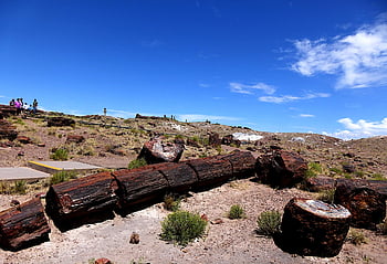 nature, geology, park, arizona, petrified Forest, usa, landscape, natural, mountains, pebbles