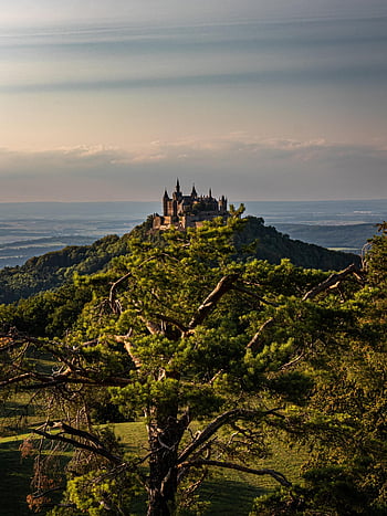 hrad, kopec, Příroda, stromy, les, lesy, hory, věže, budova, architektura, opevnění