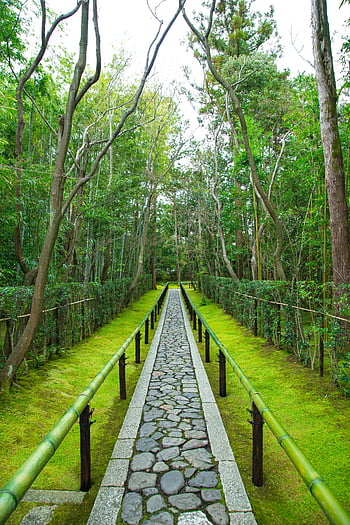 Daitoku ji temple, zen garden, narrow path, peaceful stone path, lush green, Japanese Zen garden, meditation, bamboo railing, stone walkway, greenery, tranquility
