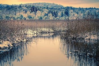 slatina, jezero, bach, proud, Příroda, krajina, nálada, voda, přírodní rezervace, vysoká vřesoviště, bažinatý