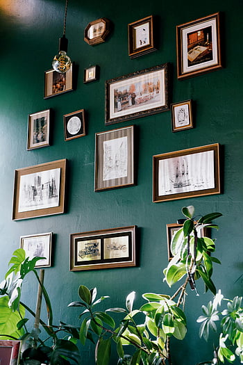 picture frames, green wall, indoor plants, modern interior design, wall art, framed pictures, stylish decor, hanging frames, home decor, green interior, plants and frames