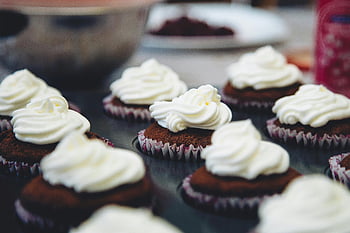 cupcakes, shift-tilt lens, dessert photography, white frosting, chocolate cupcakes, baking, food photography, close-up, sweet treats, cupcake tray, selective focus