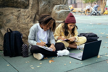 diverse schoolgirls, concentrated students, outdoor homework, teen collaboration, laptops studying, diverse teens, outdoor study, school assignment, collaborative learning, studying outdoors, laptop homework