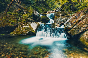 vodopád, mechový skály, svěží les, klidný, krásu přírody, během dne, kaskádové vody, řeka, lesní scenérie, přírodní krajina
