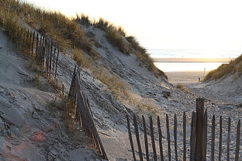 dunes, sand, sea, beach, barrier, fence, nature, pas De Calais, oyats
