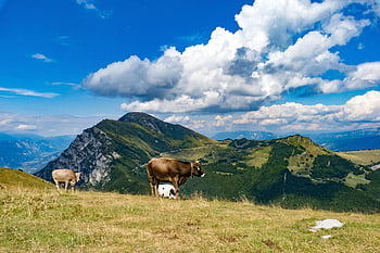 hory, Alpy, Příroda, monte, baldo, Itálie, krajina