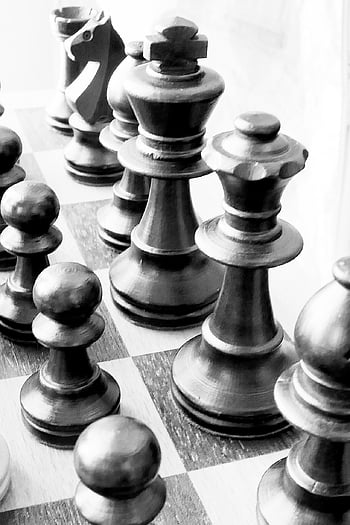 chess-chess-board-chess-pieces-checkmate-chess-game-black-game-game-of-kings-players-springer-thumbnail.jpg
