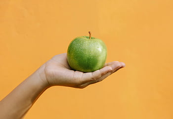 신선한 사과, 녹색 사과, 여자의 손, 생생한 오렌지 배경, 웰빙 테마, 건강한 식생활, 과일 사진, 자연 식품, 건강한 생활, 사과를 쥔 손, 오렌지 배경