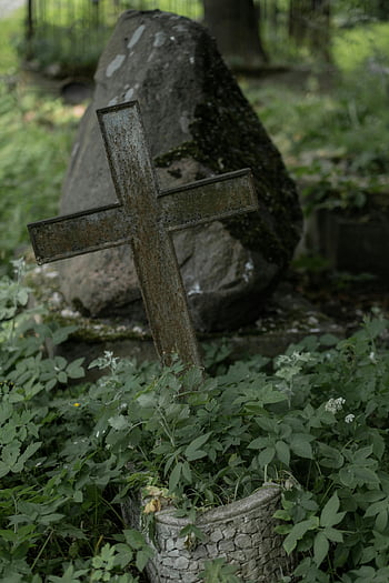 kříž na hrobě, zvětralý kříž, zarostlý hřbitov, náhrobek, symbolizující mír, hřbitov kříž, detailní záběr na kříž, rustikální kříž, hrob marker, Mírový hřbitov, mechem zarostlý náhrobek