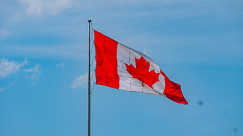 canada Day, canada Flag, canada, red, flag, symbol, country, canadian, july, national