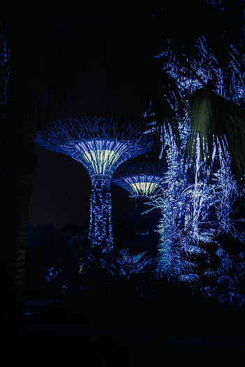 Glowing magic trees, garden at night, illuminated Supertree Grove, Gardens by the Bay, Singapore, night view, stunning night, magic trees, illuminated trees, Supertree Grove, night garden