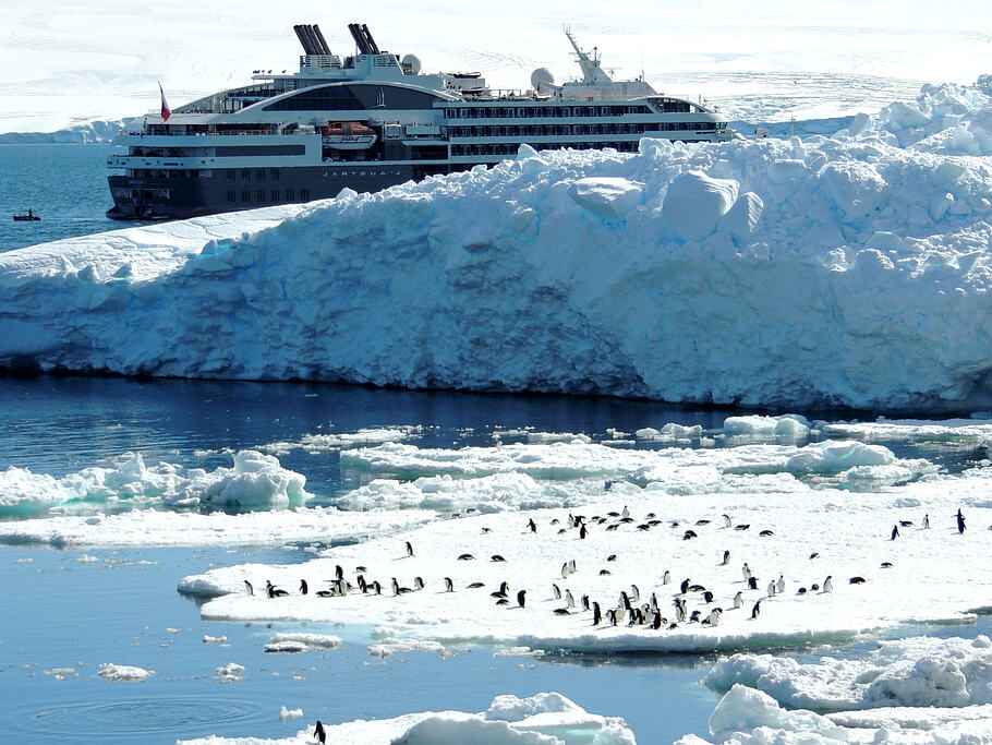 iceberg, nave da crociera, pinguini, antartico, mare, L'isola di Paulet, Ponant, uccelli, crociera, viaggio, ghiaccio