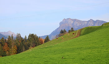 rural Landscape, alpine Landscape, mountains, hill, autumn Landscape, canton Bern, switzerland, nature Wallpaper, meadow, fields, trees