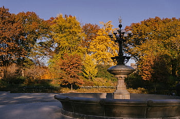 Cherry Hill Fountain, autumn park, Central Park, vibrant foliage, tranquility, fall colors, outdoor scenery, seasonal beauty, nature landscape, public park, fountain feature