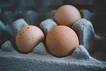 eggs, brown eggs, egg tray, organic food, fresh eggs, cardboard tray, selective focus, three eggs, organic concepts, food photography, egg carton