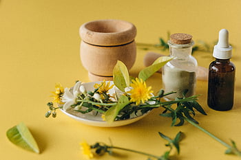 fiori gialli, vaso di terracotta marrone, rimedii alle erbe, ingredienti naturali, salute olistica, sfondo giallo, oli essenziali, mortaio e pestello, medicina naturale, rimedi a base vegetale, Prodotti benessere