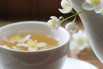 drink, tea, fresh, cup, jasmine, healthy, tea Cup, herbal, beverage