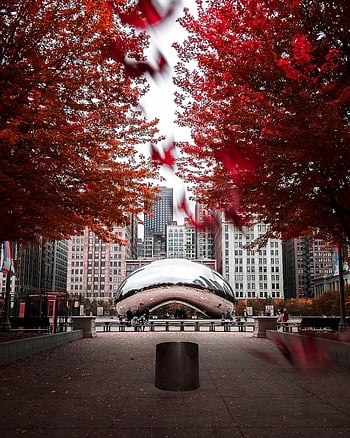 panorama chicago, cloud gate, park tisíciletí, podzim listí, mezník města, Populární pohled, zářivé barvy, městské krajiny, Reflexní socha, podzimní listí, centrální chicago