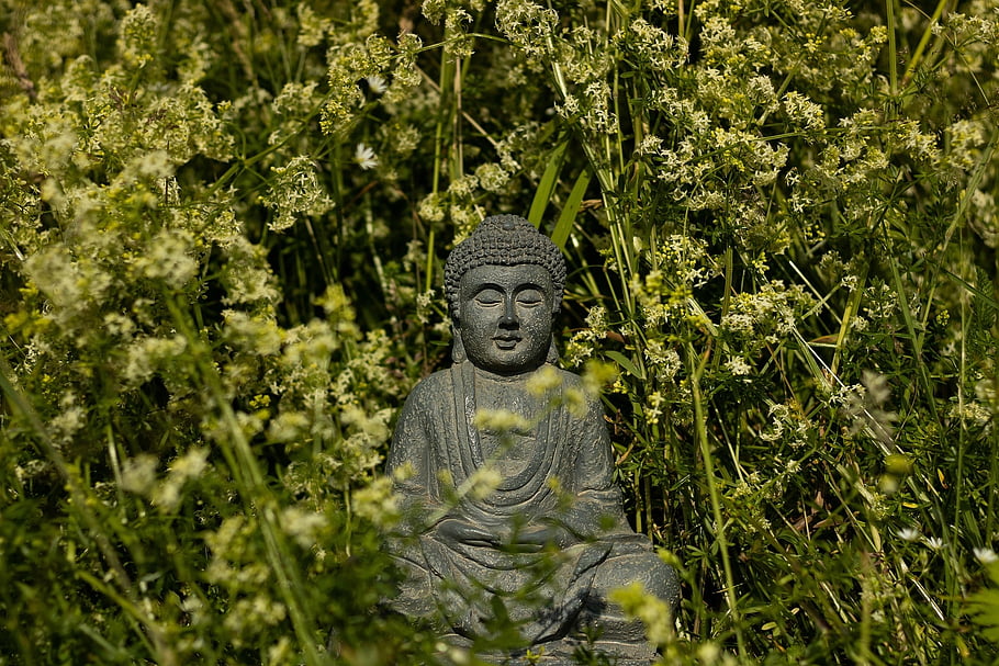 Buddha, socha, květinové pozadí, sochařství, krásné květiny, buddhismus, květiny, květinové tapety, náboženství, rostlin, Příroda