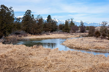 river, spring, mountains, montana, usa, meandering Stream, stream, nature, landscape, still Water, brook