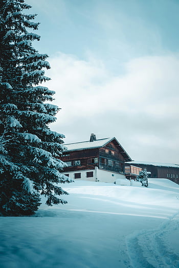 zasněžená chata, zimní scény, zasněžený les, megeve, Auvergne-Rhône-Alpes, klidná zima, zasněžené stromy, zasněžené krajiny, chata ve sněhu, zimní chata, zasněžený dům