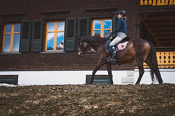horseback Riding, horse, sport, nature, horse Riding, equestrian, horse Rider, horseback Rider, equine, animal, mammal