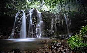 landscape, a Small Waterfall, natural, beech Forest, fog, plant, water Flow, moss, rock, hyogo Prefecture, nature