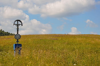 meadow, cross, fields, prairie, grass, grasslands, wildflowers, sky, clouds, hills, nature