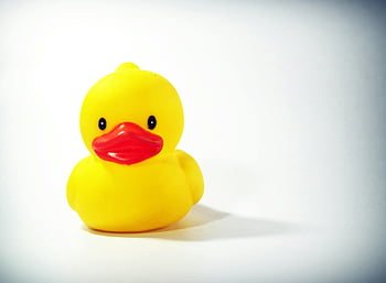 yellow duck toy, white surface, rubber duck, bath toy, yellow rubber duck, toy duck, duck toy, white background, children's toy, playful toy, bright yellow