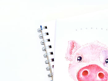bílá spirála notebook, roztomilé růžové prasátko, notebook ilustrace, bílé pozadí, detailní notebook, Spirálový vázaný notebook, prase ilustrace, hodně štěstí notebooku, zápisník růžové prase, Návrh notebooku, roztomilý notebook