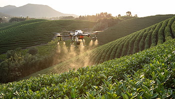 dji, trubec, drone na ochranu rostlin, zemědělské půdy, zemědělství, Moudrost Zemědělská, Chytré zemědělství, Prevence much, Stroj na ochranu rostlin, zemědělských dronů, Letadla pro boj s drogami