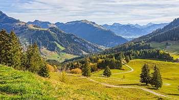 mountain Landscape, nature, fall, mountains, forests, grasslands, hike, hiking Trails, landscape, outlook, panorama
