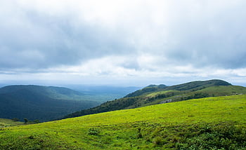 kleurwedstrijd, landschap, Bos, natuur, reizen, exploratie, buitenshuis
