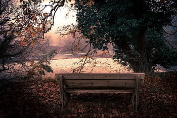 bench, lonely, river, forest, wooden, beautiful, landscape, seat, winter, cold, silence