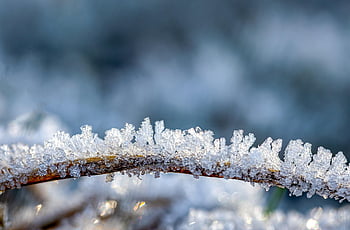 ice Crystals, frost, frozen, cold, ice Cream, crystals, hoarfrost, crystal Formation, icy, winter, winter Impressions