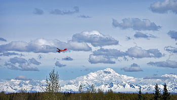 Aljaška, denali, talkeetna, Příroda, krajina, hory, venku, divočina, scénický, sníh, panoráma