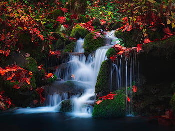 waterfall, flowing Water, cascading, rocky, outdoors, streams, nature, forest, calm, gentle, flow